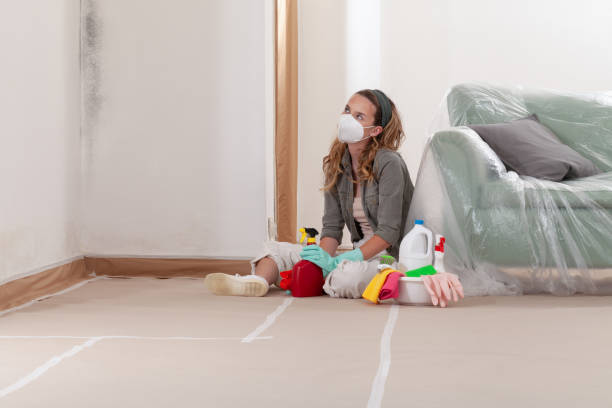 Reliable Black Mold Remediation contractor in Grand Rapids, MI by Mold Remediation HQ
